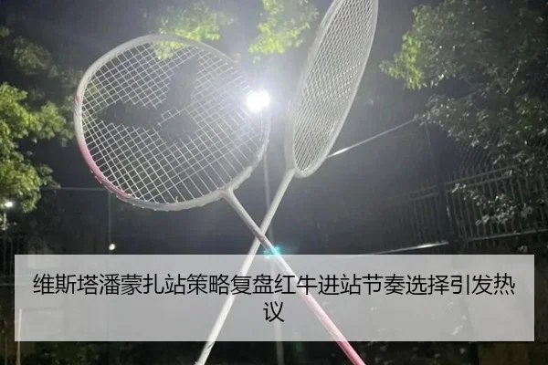 维斯塔潘蒙扎站策略复盘红牛进站节奏选择引发热议